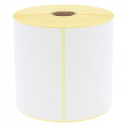 Roll of thermal transfer labels 100x150 mm (260 et.)